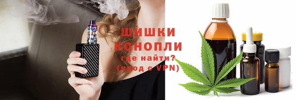 гидра Беслан