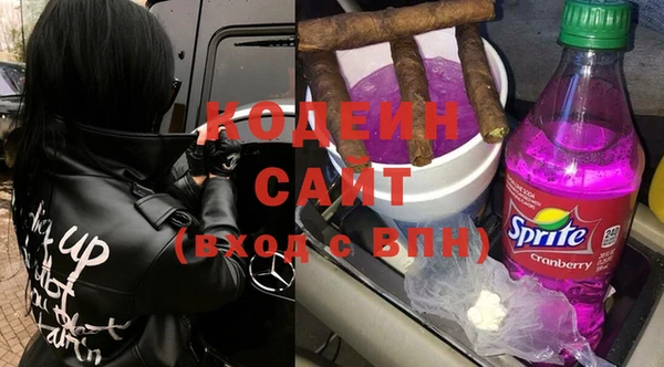 дурь Гусь-Хрустальный