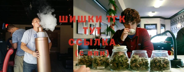 мескалин Гусев