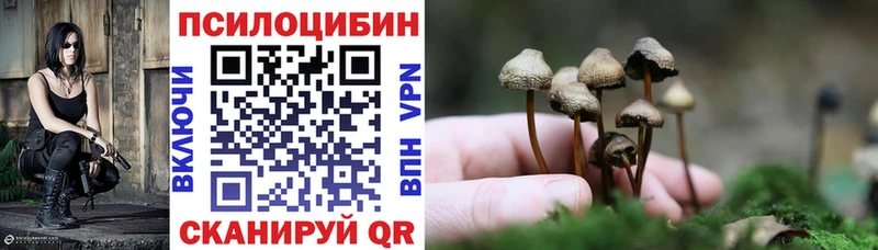 продажа наркотиков  Донецк  Псилоцибиновые грибы Cubensis 